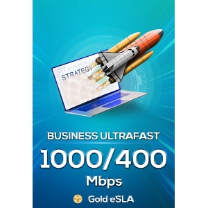 business superfast 250/100 (gold bundled)