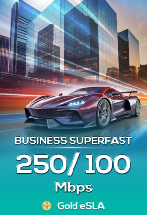 business superfast 250/100 (gold bundled)