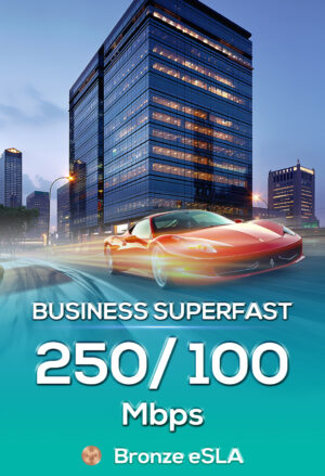business superfast 250/100 (gold bundled)