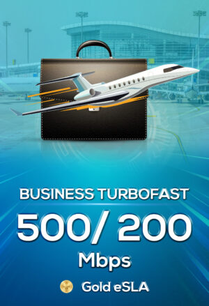 business superfast 250/100 (gold bundled)