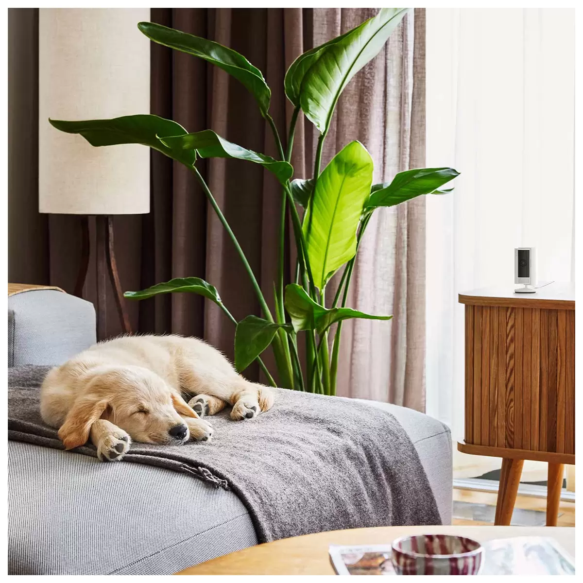 ring battery video doorbell with indoor camera 2nd gen ring battery video doorbell with indoor camera 2nd gen